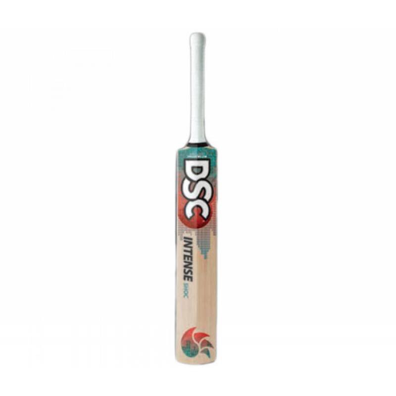 DSC Intense Shoc English Willow Bat